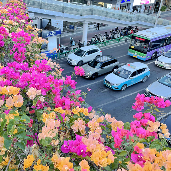 優(yōu)秀獎 多彩生活.jpg